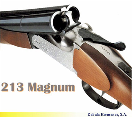 213-magnum-1.jpg
