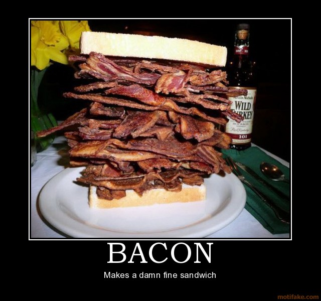 bacon-bacon-sandwich-food-funny-demotivational-poster-1250121881.jpg