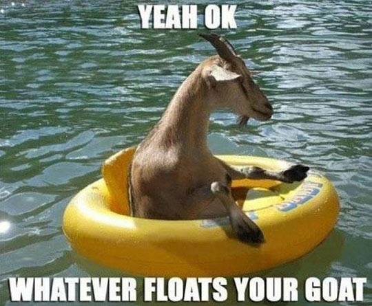 Floats your goat.jpg