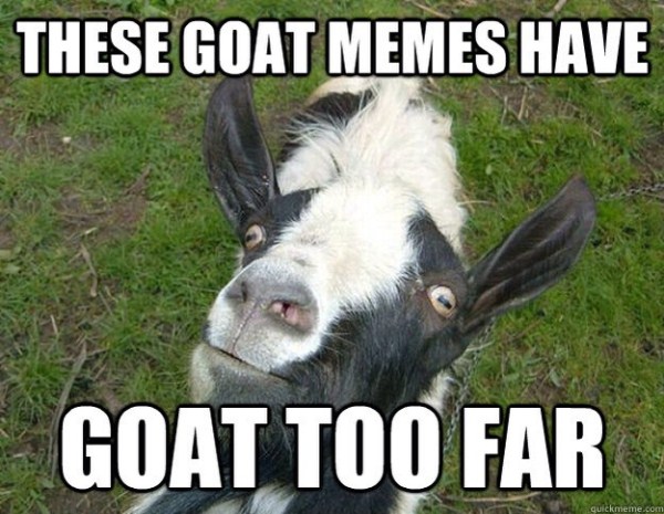 goats-funny-goat-too-far.jpg