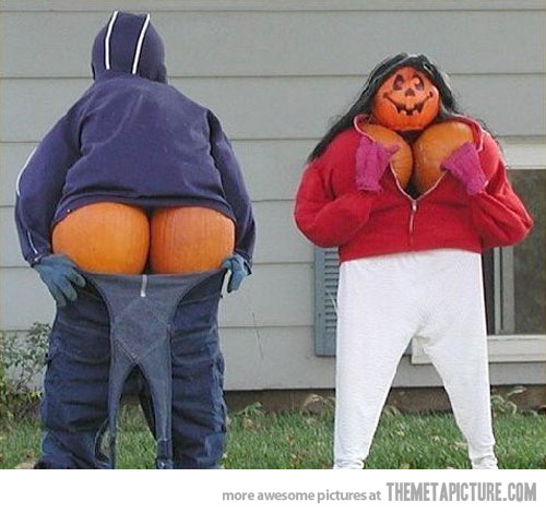 -pumpkins.jpg