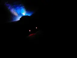 1dscn0216.webp