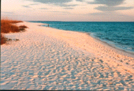 beach.gif