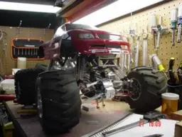 trial cage fit-480.webp