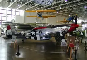 p51-d.webp