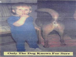 only the dog.webp