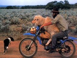 fast eddy.webp
