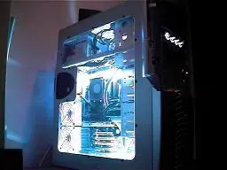 case.webp