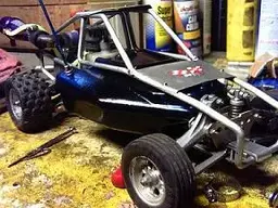 my wildcat 010.webp