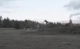 air.webp