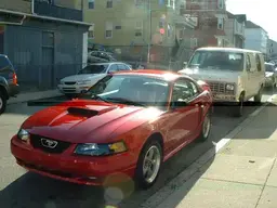 stang.webp