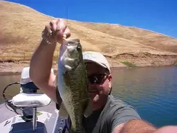 7-3bass1.webp
