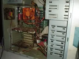 pic4.webp