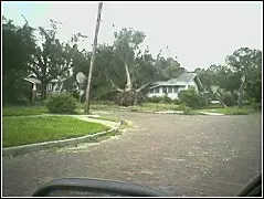 crushed[1].house.downtown.webp