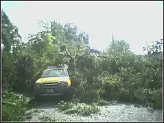 xterra[1].stuck2.webp