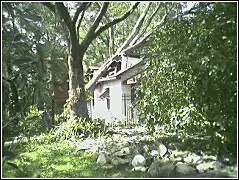 downtown[1].ferncreek.house.webp