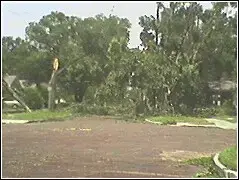 downtown[1].orlando.webp