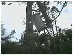transformer_hanging_near_car.webp