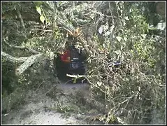 neighbors[1].car_crushed.webp