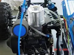 .28 Nova Rossi.webp