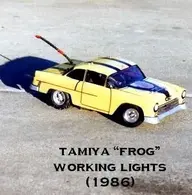 frog_DP.webp