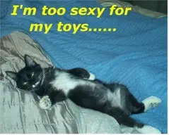 sexy2.webp