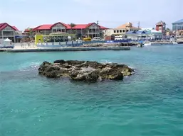 cayman.webp
