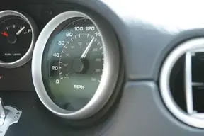 speedo.webp