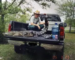 gator.webp