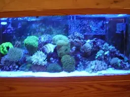8a5a.webp
