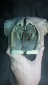 Skull2.webp