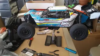Losi Tenacity DB_06.webp