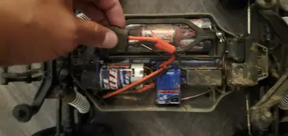 Ratted Stampede.webp