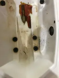 Boat damage.webp