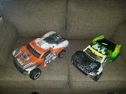 losi scte.webp