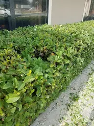 20191106_123430(0).webp