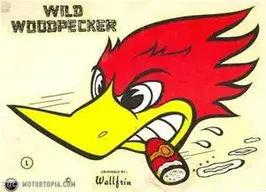 thI6NL7MO2.jpg_wild woodpecker.webp