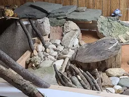 20220228_122603.webp