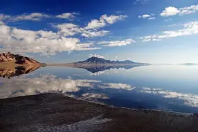 C01DCEEB-8681-47B7-8AB2-800591640043.webp