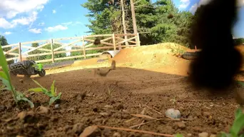 VideoCapture_20220710-190426.webp
