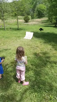VID_20230514_131708456_exported_3206.webp