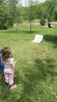 VID_20230514_131749096_exported_3216.webp