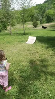 VID_20230514_131749096_exported_3382.webp