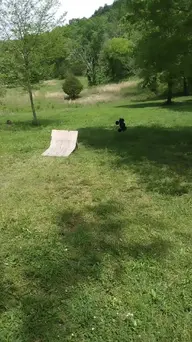 VID_20230514_131749096_exported_3748.webp
