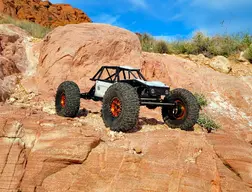 Capra 38.webp