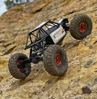 Capra 30.webp