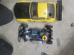 17252244959882297662816239352055.webp