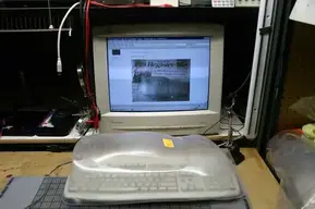 bodycontest.webp