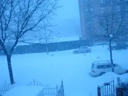 snowfall 3.webp