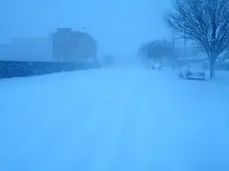 snowfall 1.webp